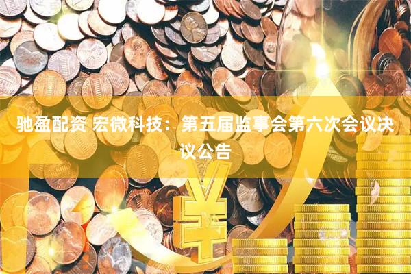 驰盈配资 宏微科技：第五届监事会第六次会议决议公告