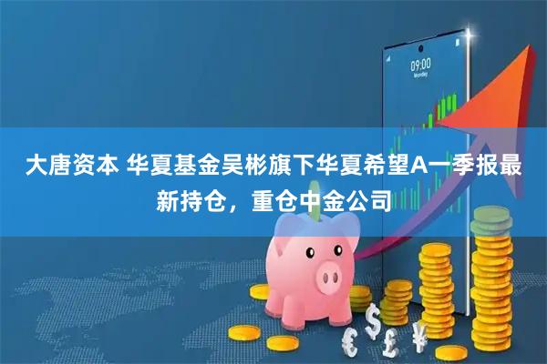 大唐资本 华夏基金吴彬旗下华夏希望A一季报最新持仓，重仓中金公司