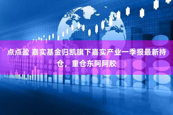 点点盈 嘉实基金归凯旗下嘉实产业一季报最新持仓，重仓东阿阿胶