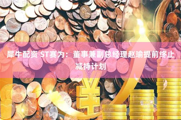 犀牛配资 ST赛为：董事兼副总经理赵瑜提前终止减持计划