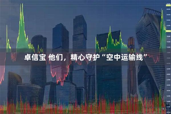 卓信宝 他们，精心守护“空中运输线”