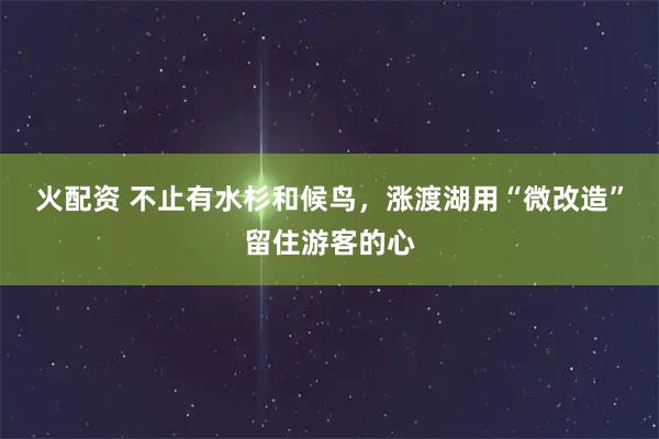 火配资 不止有水杉和候鸟，涨渡湖用“微改造”留住游客的心