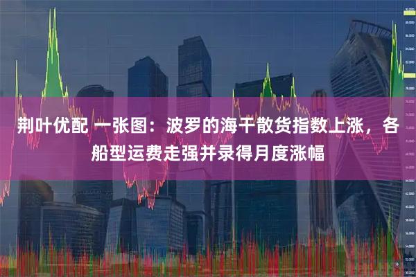 荆叶优配 一张图：波罗的海干散货指数上涨，各船型运费走强并录得月度涨幅