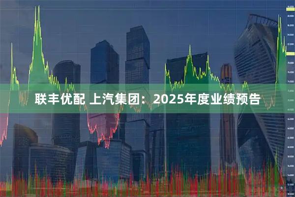 联丰优配 上汽集团：2025年度业绩预告