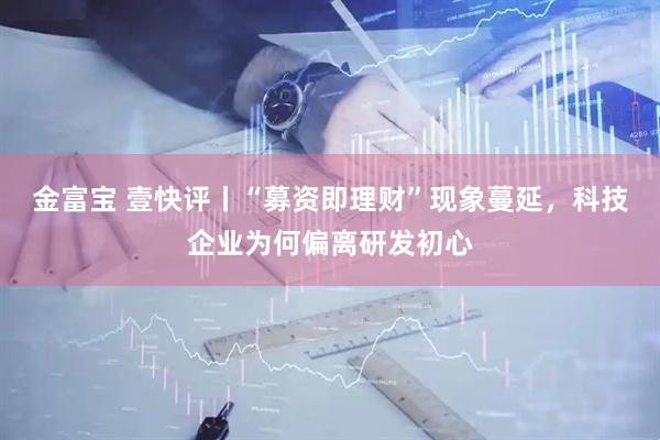 金富宝 壹快评丨“募资即理财”现象蔓延，科技企业为何偏离研发初心