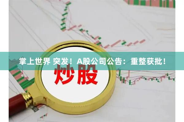 掌上世界 突发！A股公司公告：重整获批！