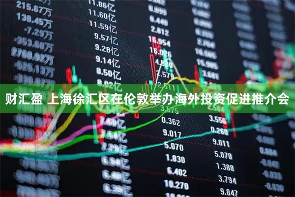 财汇盈 上海徐汇区在伦敦举办海外投资促进推介会